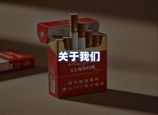 专业团队